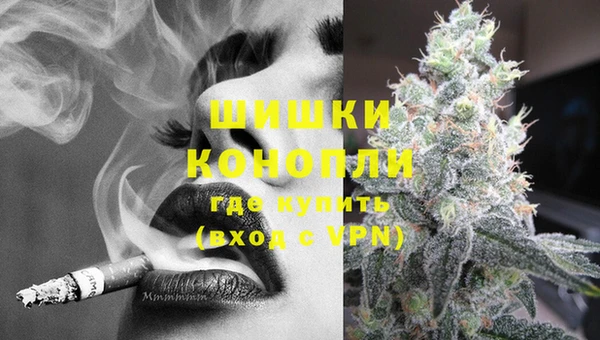 spice Няндома
