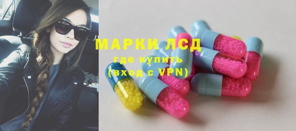 spice Няндома