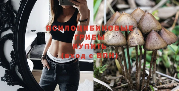 мескалин Абаза