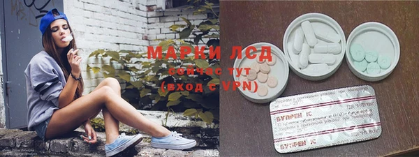 PSILOCYBIN Нягань