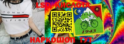 spice Абакан