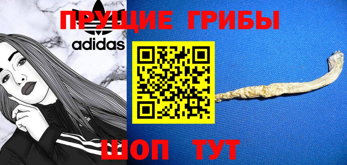 Азнакаево  Псилоцибиновые грибы Cubensis  Вход с VPN  Галлюциногенные грибы Psilocybe 