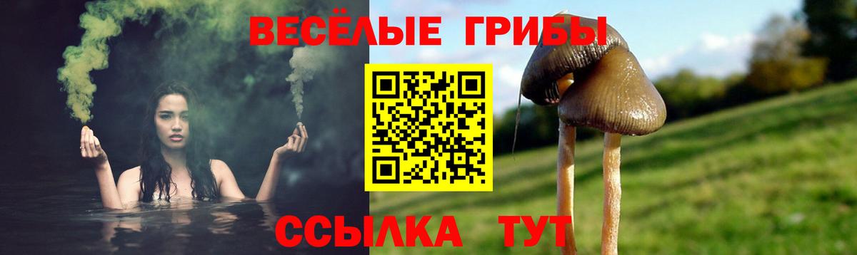 Галлюциногенные грибы ЛСД Азнакаево